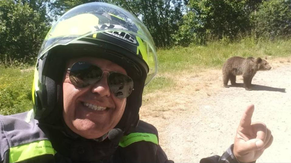 Paró a tomar fotos de osos y termina en una tragedia mortal