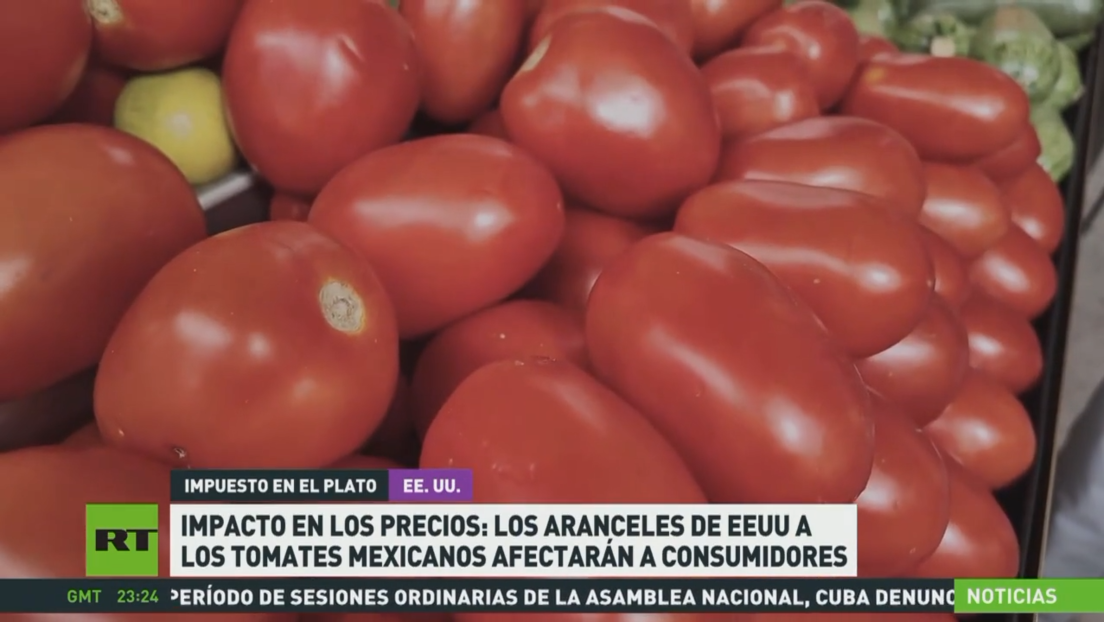 Impacto en los precios: aranceles de EE.UU. a los tomates mexicanos afectarán a consumidores