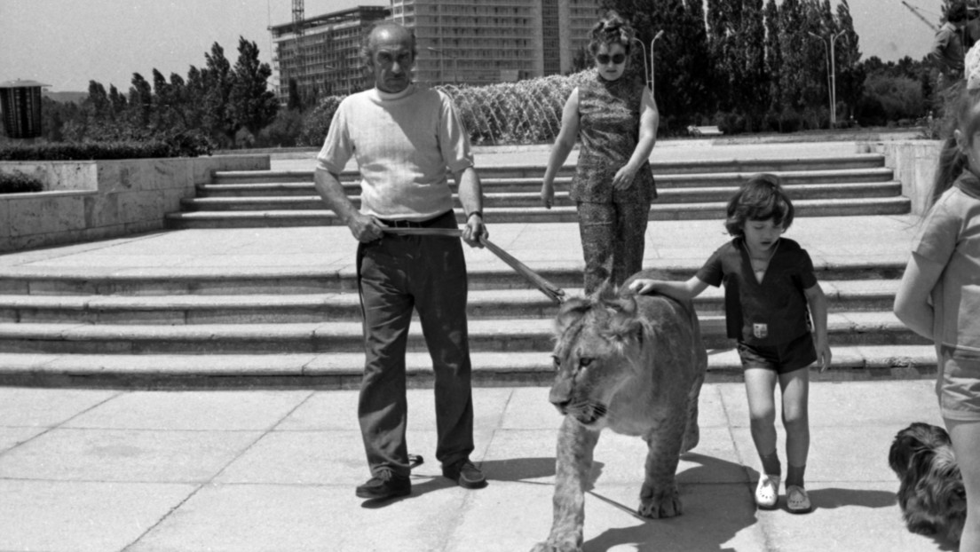 Historia de la familia soviética que crió un león como hijo y que terminó en una tragedia desgarradora