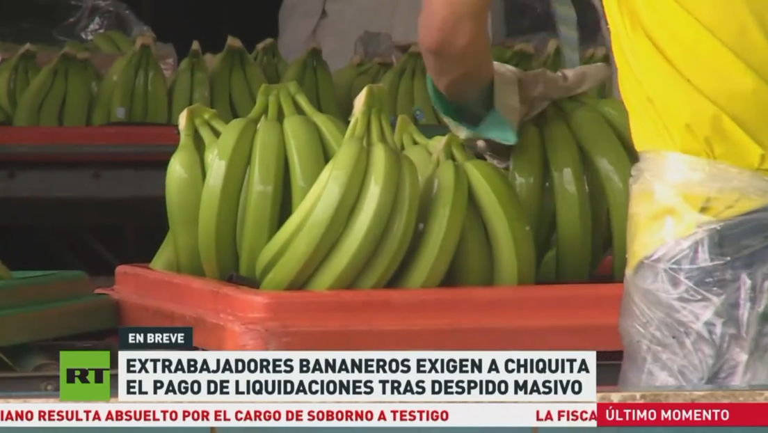 Extrabajadores bananeros exigen a Chiquita el pago de liquidaciones tras despido masivo