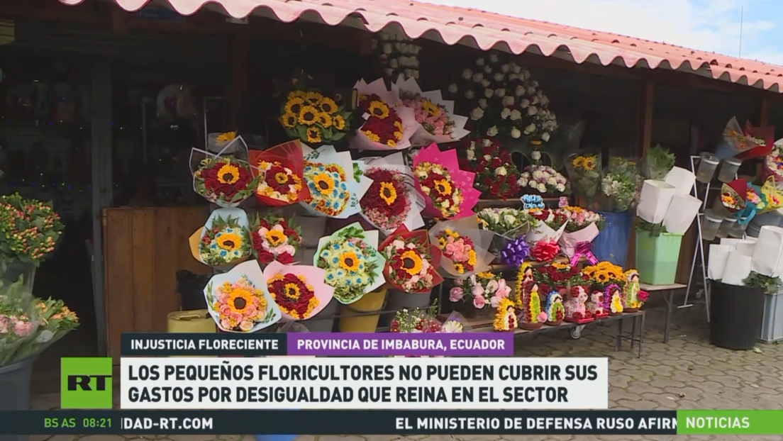 Los pequeños floricultores de Ecuador no pueden cubrir gastos por desigualdad del sector