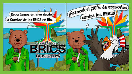 Pajarraco interrumpe nuestra transmisión de la Cumbre BRICS