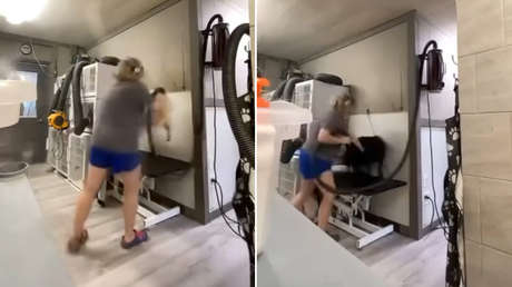 VIDEO: Golpean a perros en spa de mascotas y dueña lanza amenazas para ocultarlo