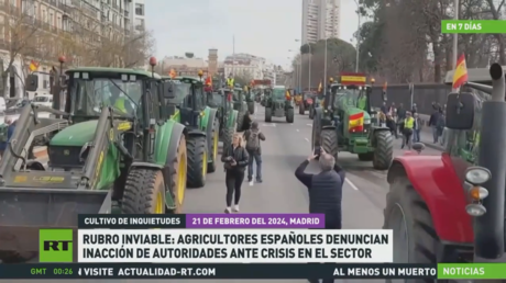 Rubro inviable: agricultores españoles denuncian inacción de autoridades ante crisis en el sector