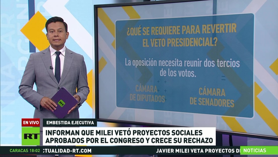 Informan que Milei vetó proyectos sociales aprobados por el Congreso