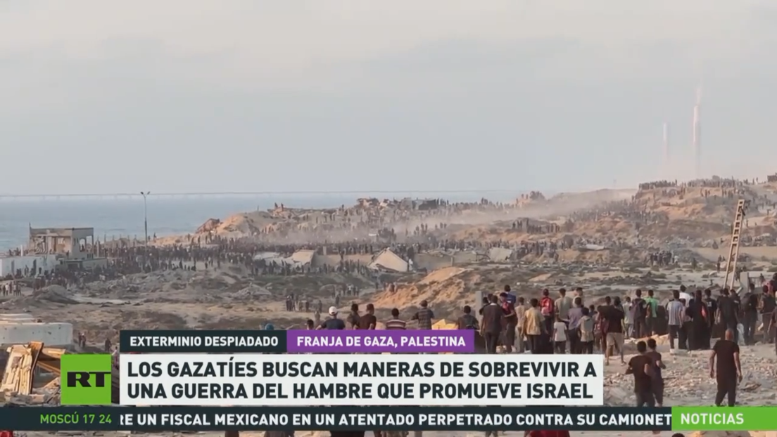 Los gazatíes buscan maneras de sobrevivir a una guerra de hambre provocada por Israel 