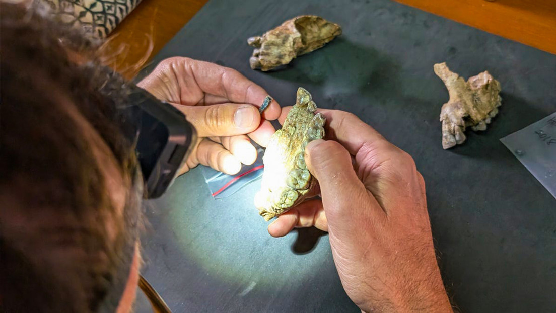 Descubren en África fósiles de un ancestro humano antiguo
