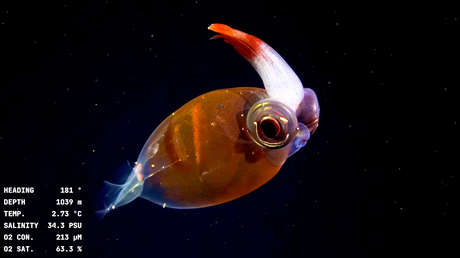 La insólita expedición científica que provoca furor en este país latinoamericano