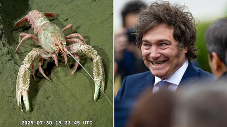 Golpe desde las profundidades: transmisión desde el fondo del mar tuvo más 'rating' que la entrevista de Milei