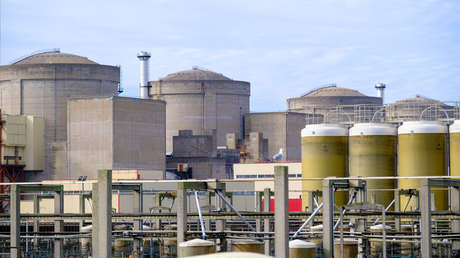 Medusas paralizan la actividad de la mayor central nuclear de Francia