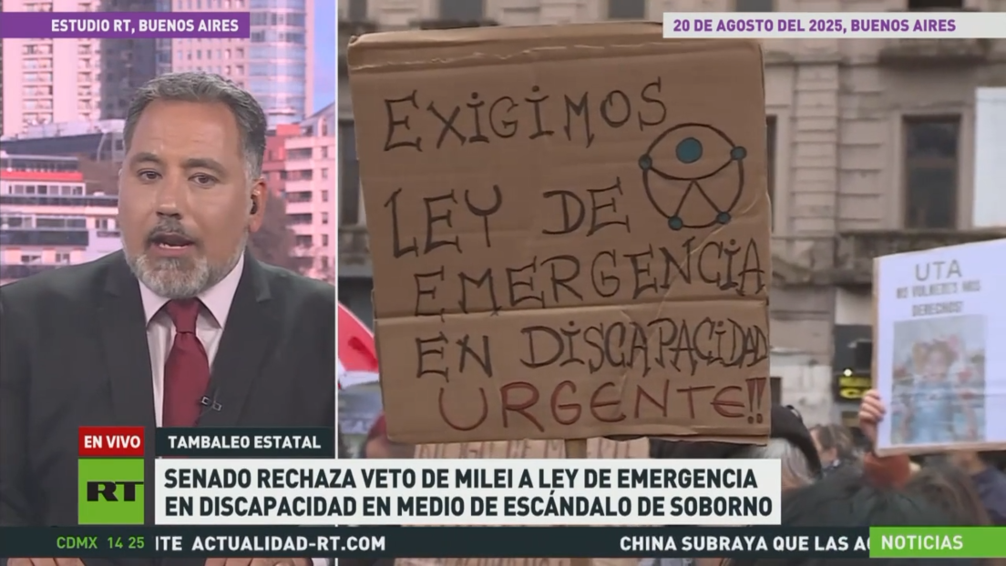 Senado rechaza el veto de Milei a la Ley de Emergencia en Discapacidad en medio de escándalo de soborno
