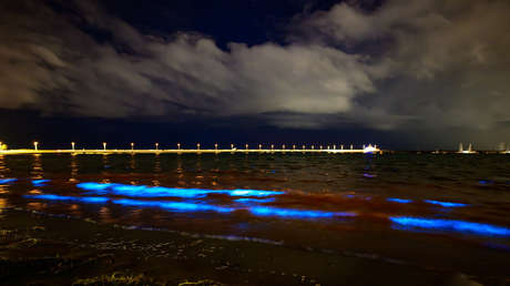 El mar se tiñe con un sorprendente brillo azul en el sur de Australia (VIDEOS)