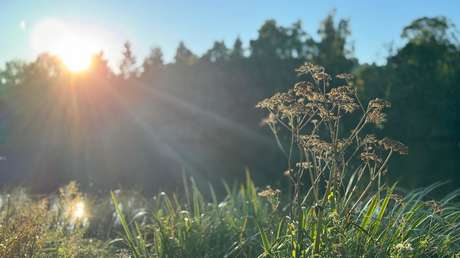Las matemáticas dicen que no deberíamos existir: nuevo estudio desafía las teorías del origen de la vida en la Tierra