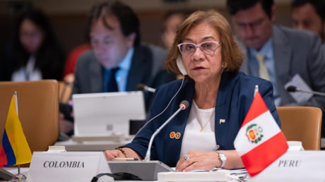 "La dignidad no es negociable": la acción de la canciller de Colombia tras retiro de visa a Petro