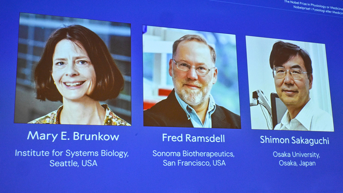 "Desconectado de la red": Comité del Nobel no logra contactar con un ganador del premio de Medicina