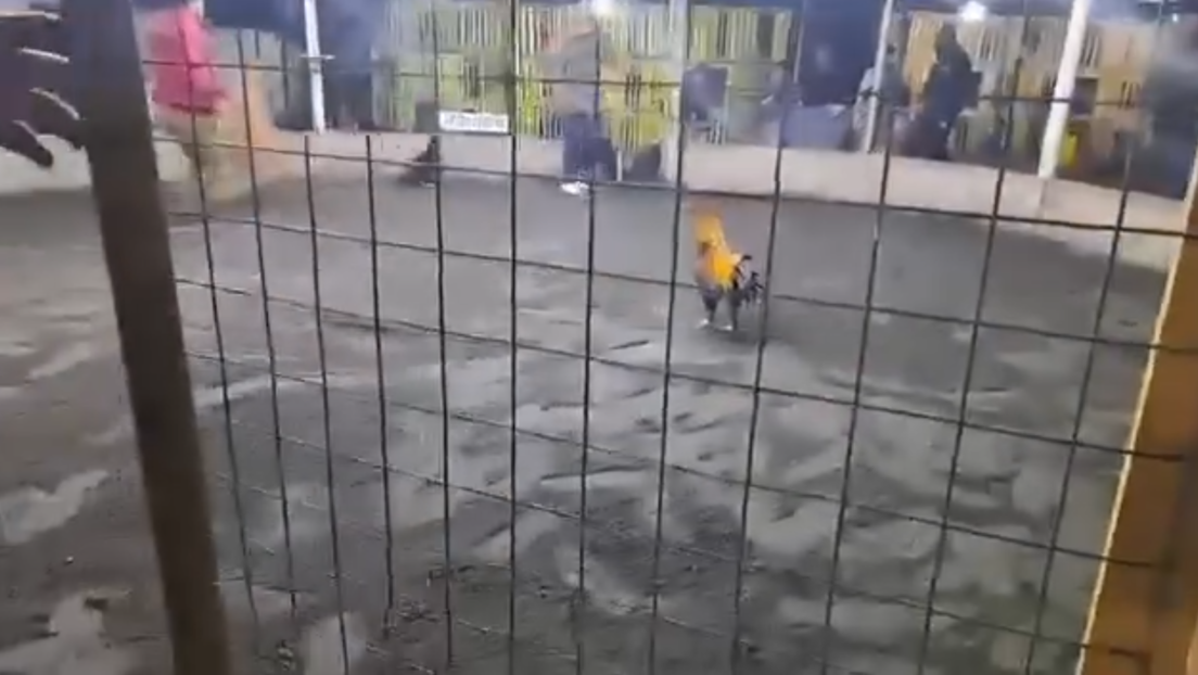 Captura de pantalla