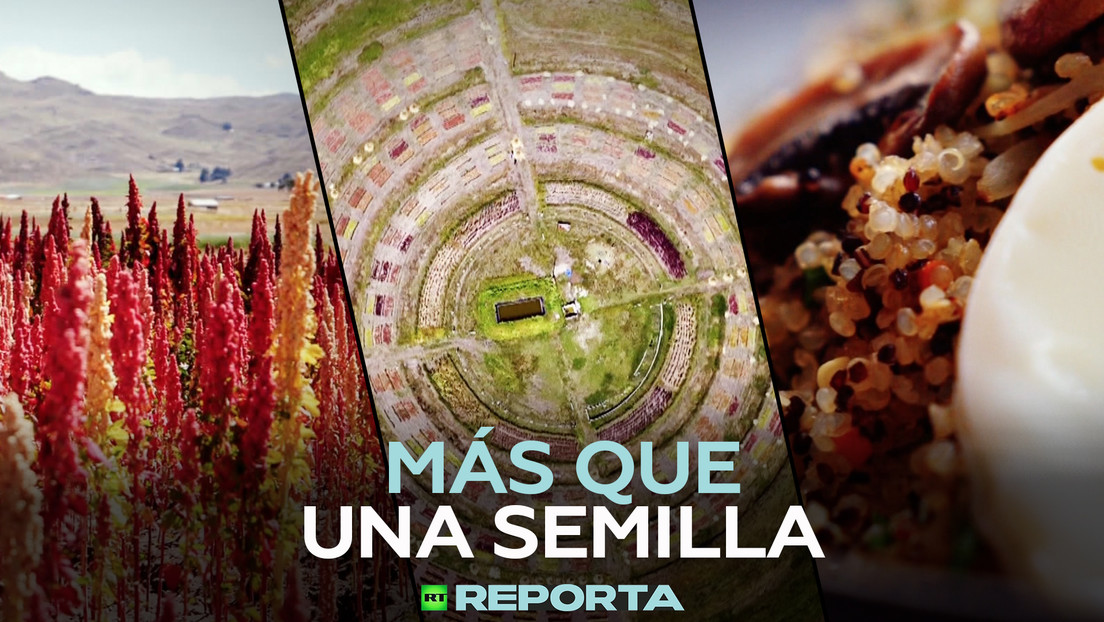 Más que una semilla