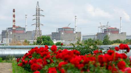 Kremlin tacha de "tontas" las declaraciones de Zelenski sobre ataques rusos a una central nuclear rusa