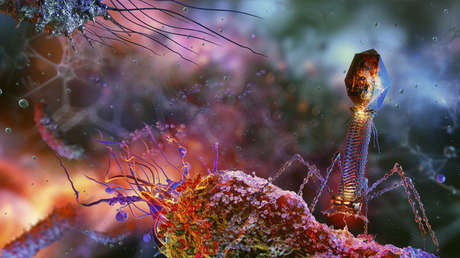 Captan las primeras imágenes de un antibiótico aniquilando bacterias en tiempo real (FOTOS)