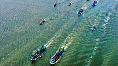 Pescadores chilenos en alerta por "flotas" chinas que "arrasan" el ecosistema marítimo