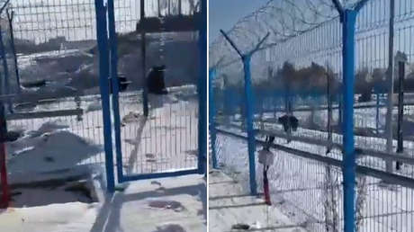 VIDEO: Un inusual intruso se cuela en un cosmódromo ruso y así reacciona el guardia de seguridad