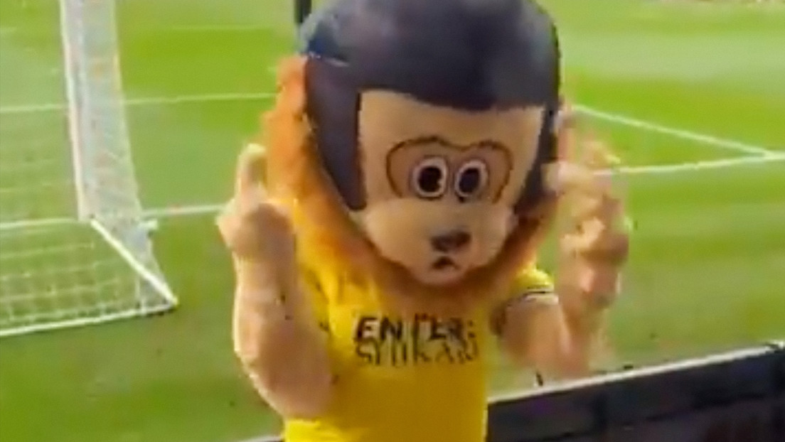 VIDEO: Mascota se hace viral por su inusual comportamiento en un partido de fútbol