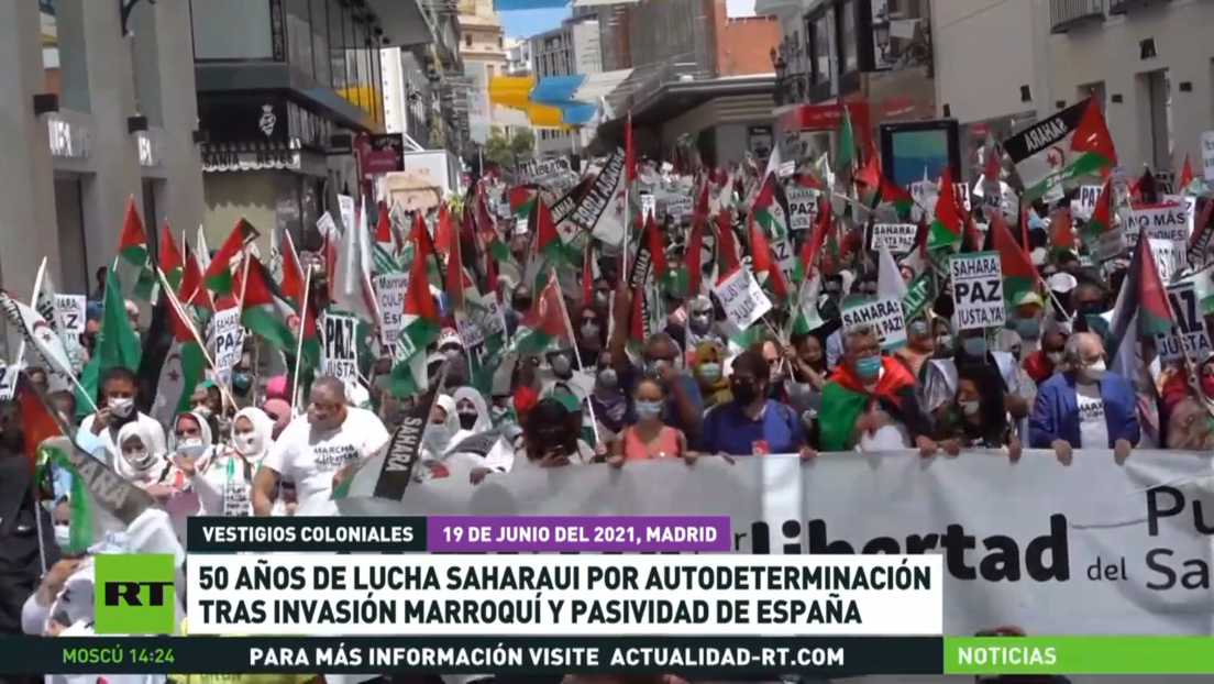 50 años de lucha saharaui por autodeterminación tras invasión marroquí y pasividad de España