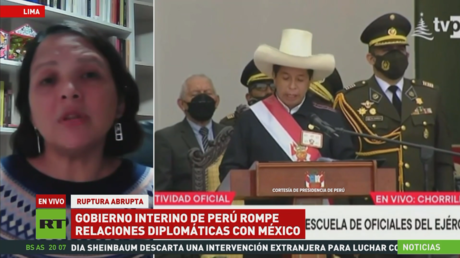 Experta: Ha habido una permanente persecución de Pedro Castillo