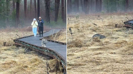 VIDEO: Pegados a sus teléfonos, no se percatan de un peligro a pocos metros