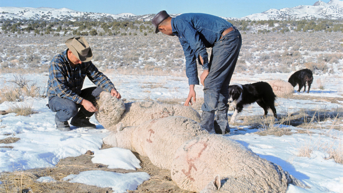 El día que EE.UU. probó armas químicas en su territorio y trató de ocultarlo