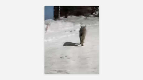 Captura de pantalla
