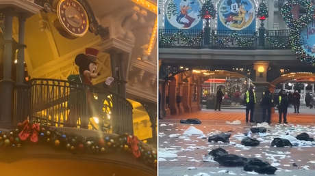 Esto pasa en Disneyland cuando los empleados de limpieza están en huelga (VIDEO)