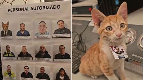 Captura de pantalla