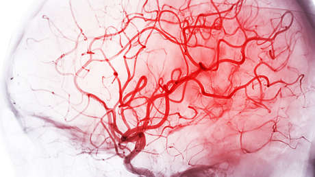 Imagen ilustrativa