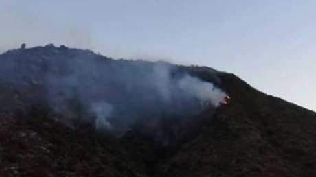 VIDEO: Niños juegan con un mechero y queman más de 200 hectáreas de bosque y 2 casas
