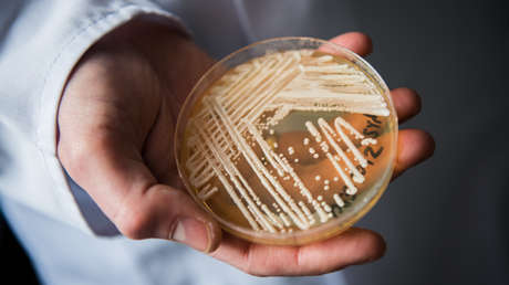 Una 'superbacteria' resistente a los medicamentos se está propagando por EE.UU.