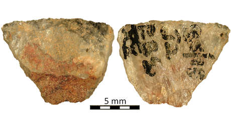 Veneno ancestral: la caza prehistórica podría haber sido más mortal de lo que se creía