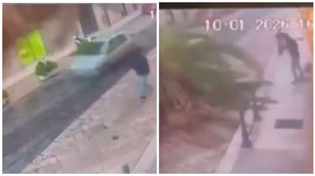 VIDEO: Palmera gigante se derrumba en medio de una plaza y casi acaba en tragedia
