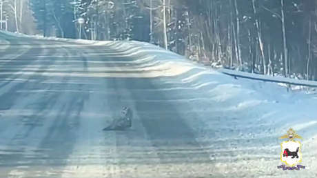 VIDEO: Conmovedor acto de policías rusos en medio de una carretera nevada
