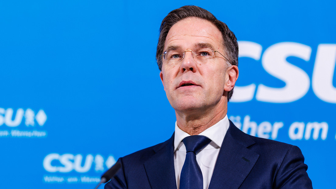 El jefe de la OTAN asegura que conversó con un perro