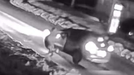 VIDEO: Mujer se detiene para ayudar a un hombre tendido en una carretera y pasa algo inesperado