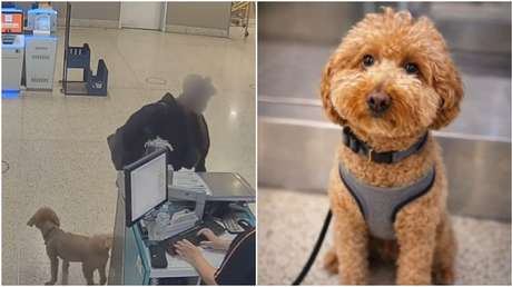 VIDEO: Una mujer abandona a su perro en un aeropuerto y esto le sucede