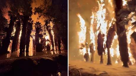 VIDEO: Rayos desatan un incendio en una arboleda de palmeras