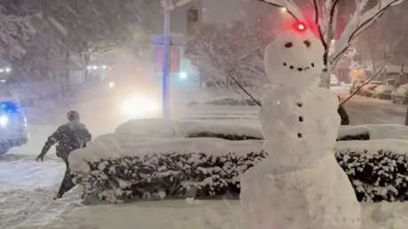 Policías de Nueva York 'se pelean' con bolas de nieve durante nevada histórica (VIDEO)