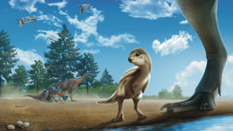Descubren una nueva especie de dinosaurio del tamaño de un pavo y aspecto "tierno"