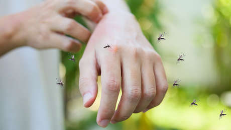 Emiten alerta global de viaje tras registrar un repunte de casos de dengue
