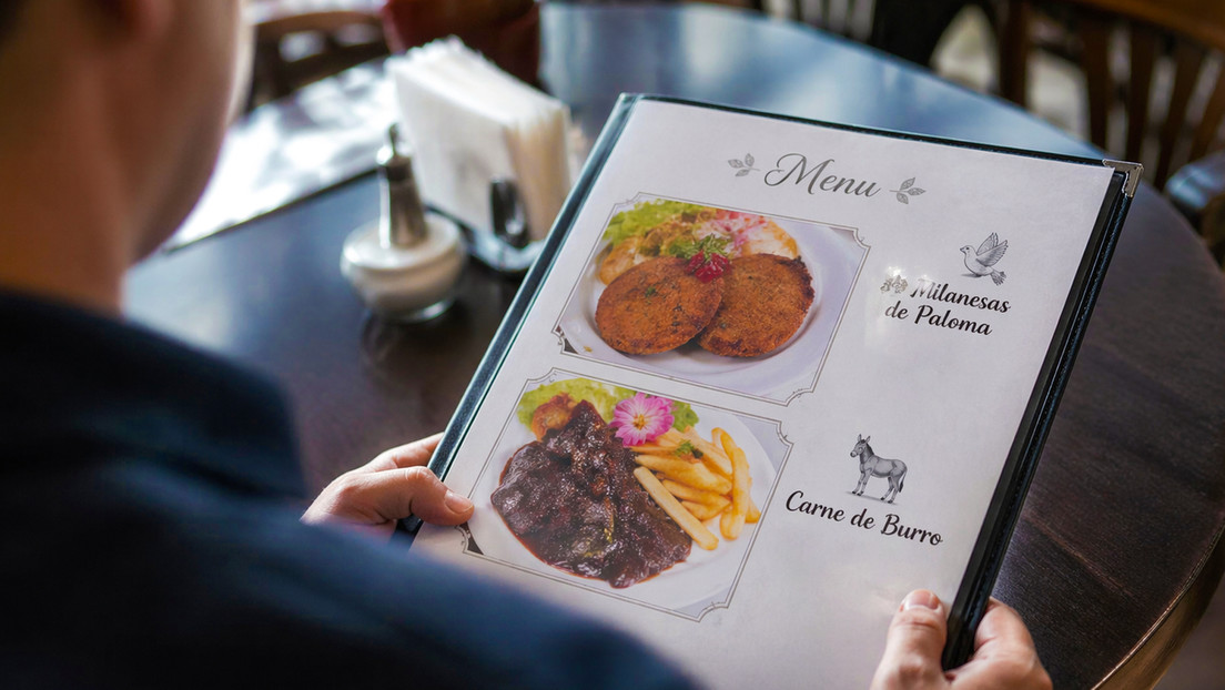 Milanesas de paloma y carne de burro: el 'menú' que provoca un controvertido debate en este país latinoamericano