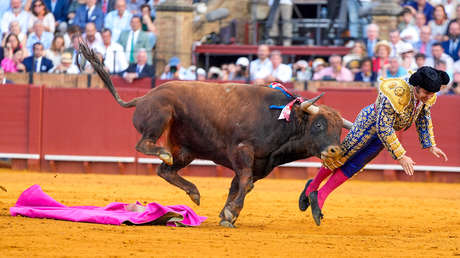 Sin comer ni dormir: torero español revela su estado tras sufrir una cornada en el recto (FUERTE VIDEO)
