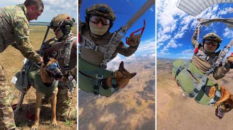 VIDEO: Intrépida perra de operaciones especiales conquista los cielos lanzándose en paracaídas