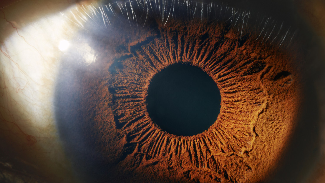 Su retina podría alertar sobre el riesgo de esta peligrosa enfermedad